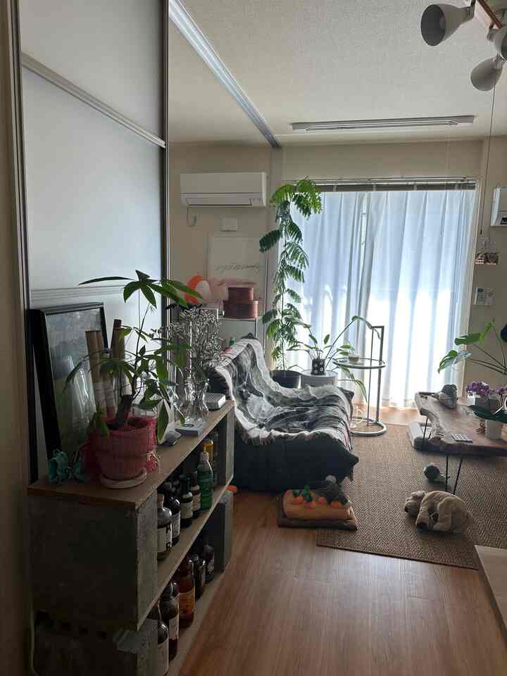 Bright white walls and brown flooring define a cozy living room with sofa and abundant plants