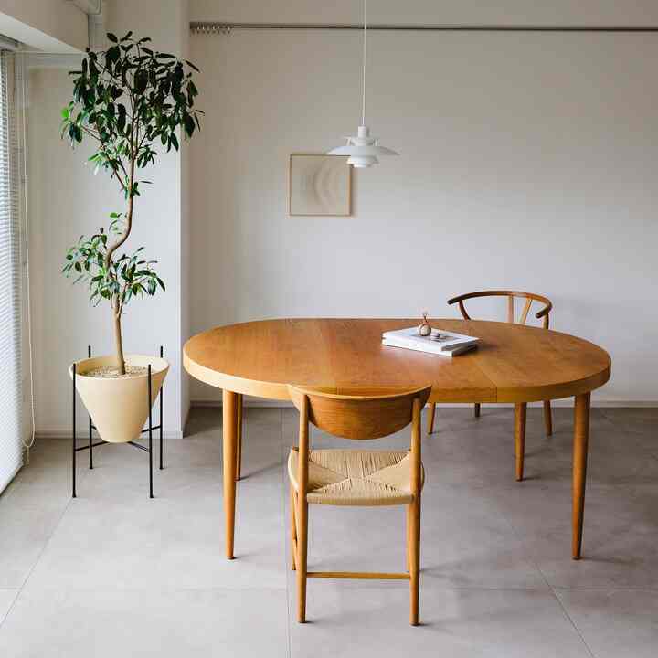 Architectural Potteryの鉢

Architectural Potteryは1948年創業のカルフォルニアのブランドで、一度、工房の火災で製造中止となってしまいましたが、現在は @vessel_usa によって復刻されてるみたいです✨

意外と珍しい逆円錐の形状と、馴染み良いベージュの色合いが気に入ってます☺️

素焼きタイプのもので、使っていくうちに水が染みて、独特の表情も出てくるみたいなので楽しみです🤲

#鉢 #植物インテリア 
