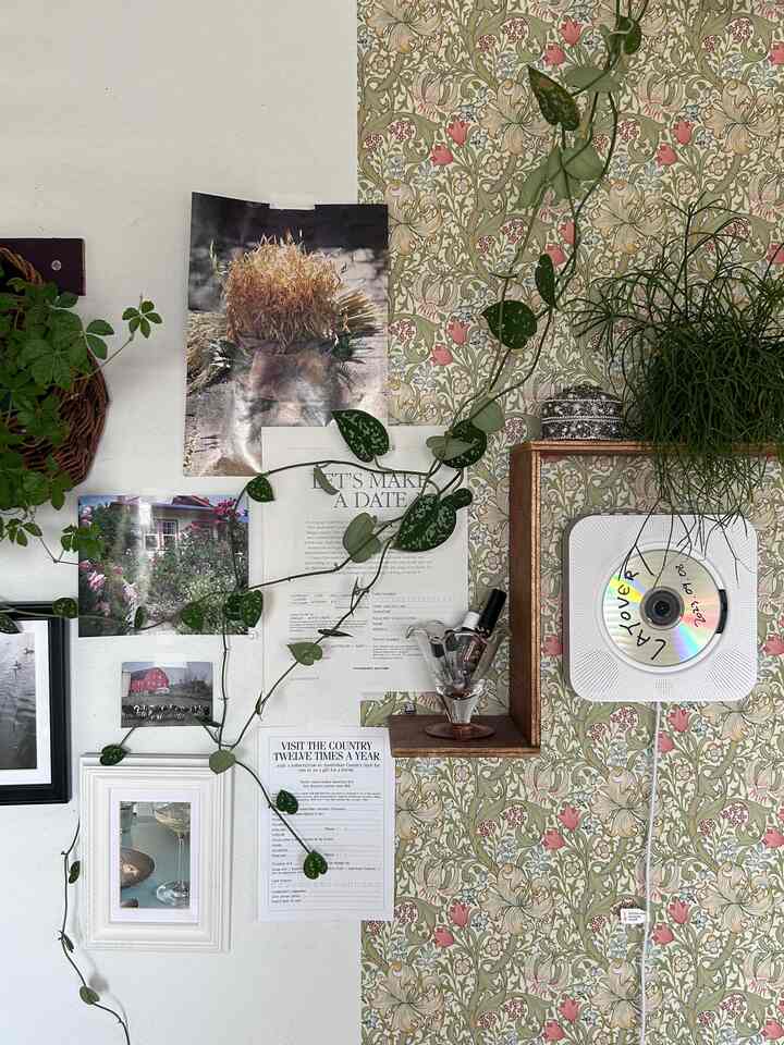 お気に入りの壁。

#観葉植物 
#ウォールデコレーション
#部屋作り 