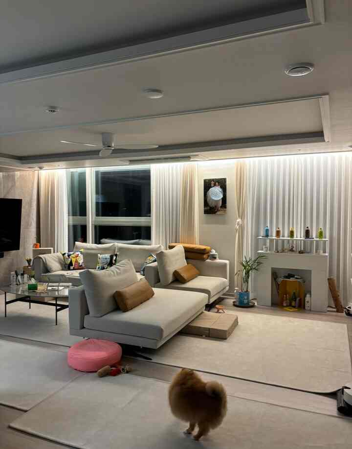 Beige and brown toned living room featuring a large sofa, curtains, and pet accessories creating a cozy atmosphere