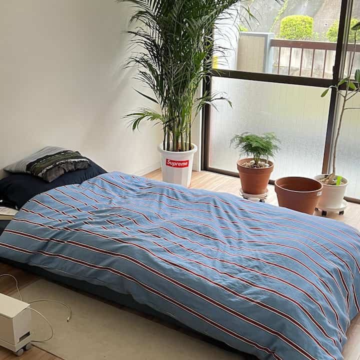 Bedroom with blue striped duvet cover and plants by window, creating a natural and cozy atmosphere