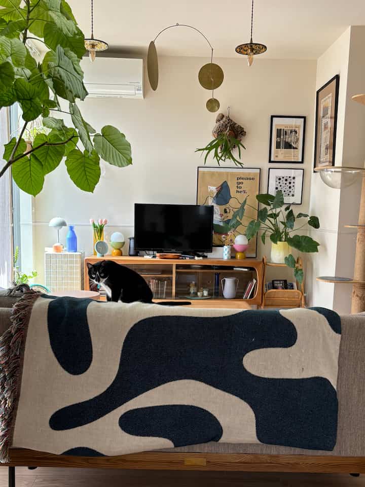Natural-toned living room featuring a sofa with a black and white cat, rattan furniture, and abundant foliage plants creating a cozy atmosphere