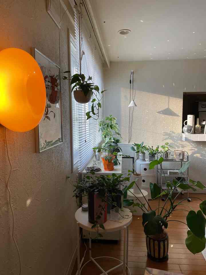 Evening. A mirror ball 🪩 sparkling.
I like the shadows of the blinds reflected on the wall and the room at this time of day.
It was hot today too~
#Interior #リビング #観葉植物 #植物インテリア #植物 #シンプルなインテリア #カラフルなインテリア #北欧インテリア #韓国インテリア #間接照明 #IKEA #IKEA照明 #KINTO