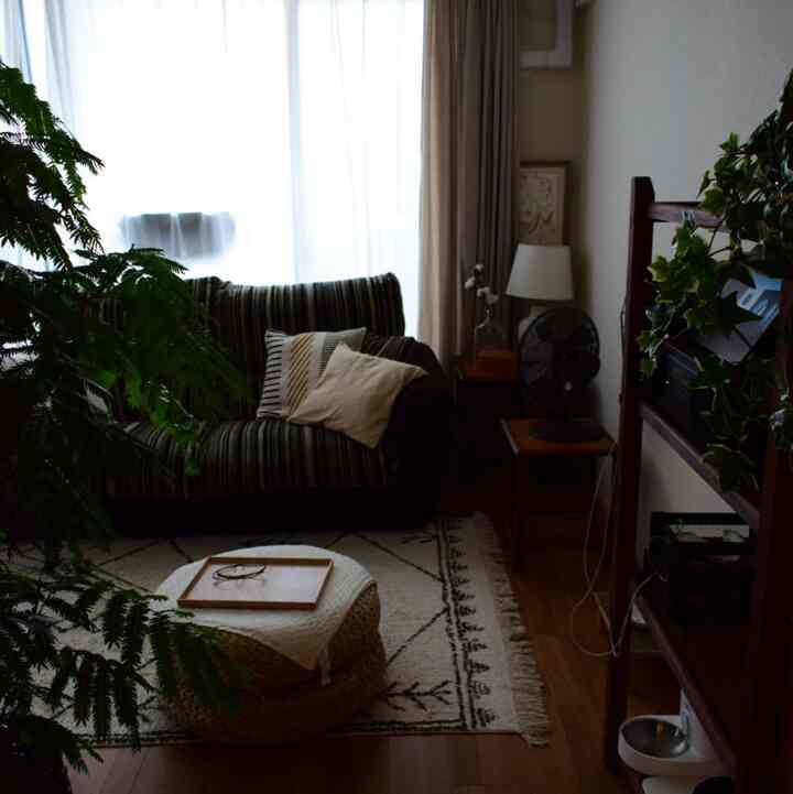 Natural-toned living room featuring a striped sofa, large leafy plant, and woven stool creating a cozy atmosphere
