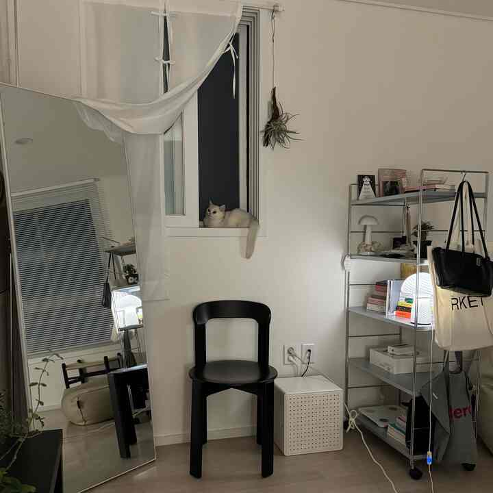 白い壁とメタル棚、黒い椅子が配置されたミニマルなリビングの窓際に白い猫が座っている様子