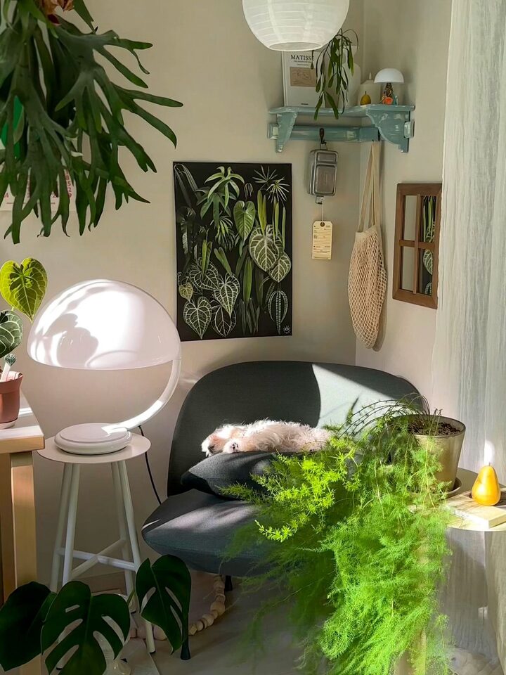 short form carousel card thumbnail