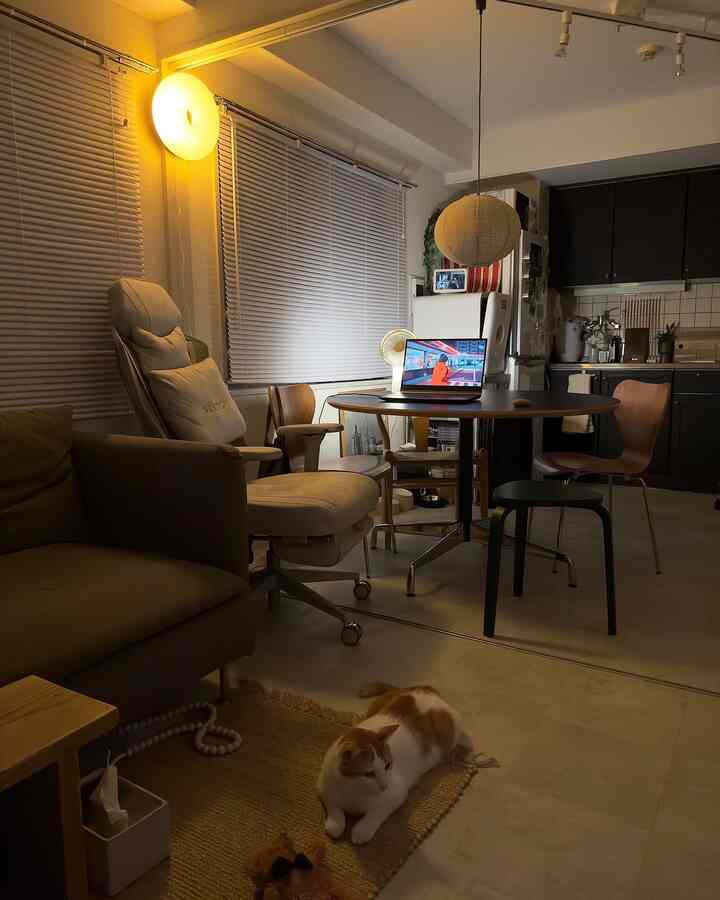 暖かい木目調とダークグレーが調和したシンプルな一人暮らしのダイニングルーム、ラグに横たわる猫が印象的な空間