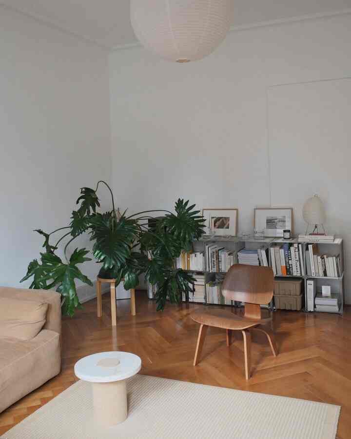 Natural toned living room featuring wood flooring, white walls, wooden chair, and large green plant creating a simple space