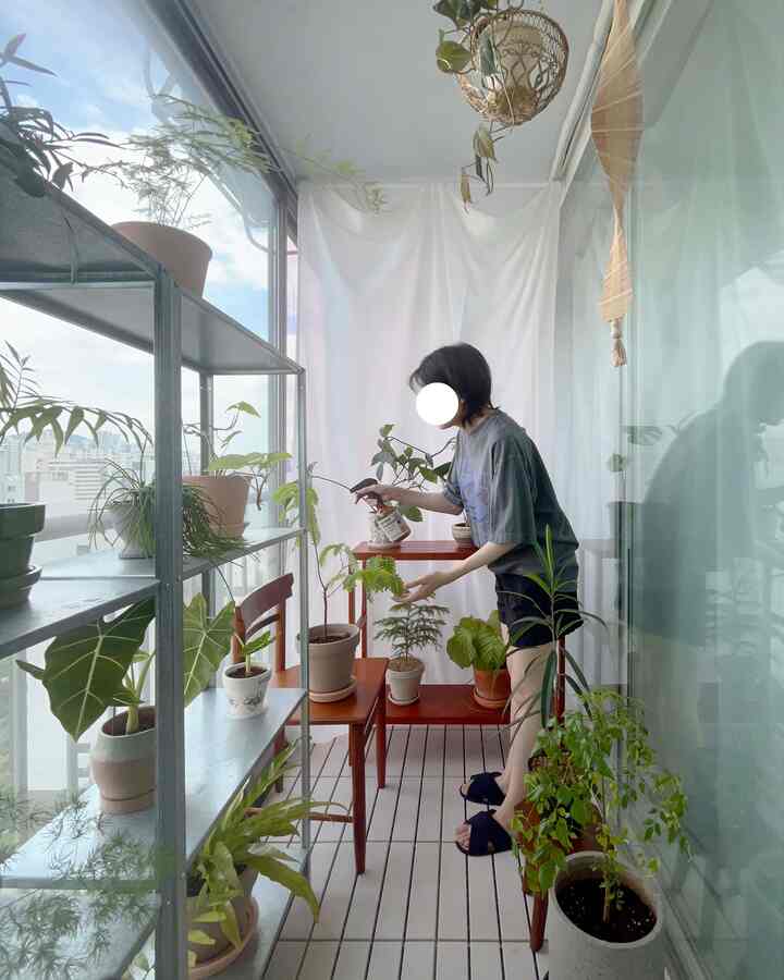 最近私の朝の日と🌱
#植民地成長 

ベランダに出て植物の状態チェックして枯れた葉には栄養剤振りかける😊 

＃ベランダ＃ベランダインテリア＃ベランダ装飾＃ベランダ庭園＃植物＃植物インテリア＃植物日記＃植物を育てる＃植民地時代＃バルコニー 
