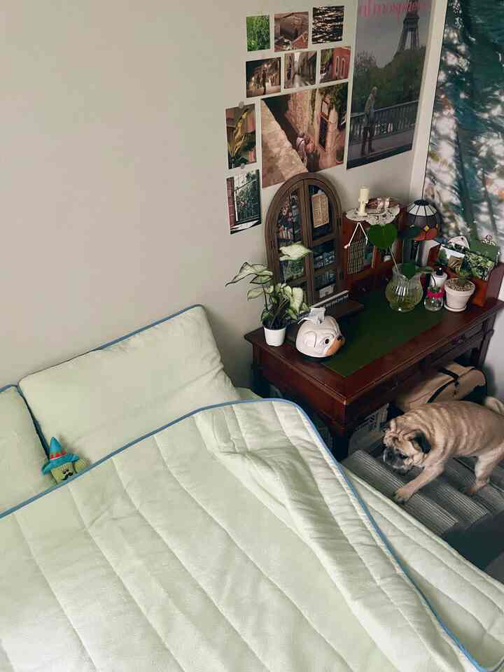 白い壁とミント色の寝具がある寝室、植物とペット用階段が置かれた木製のデスクが配置された雰囲気のあるインテリア