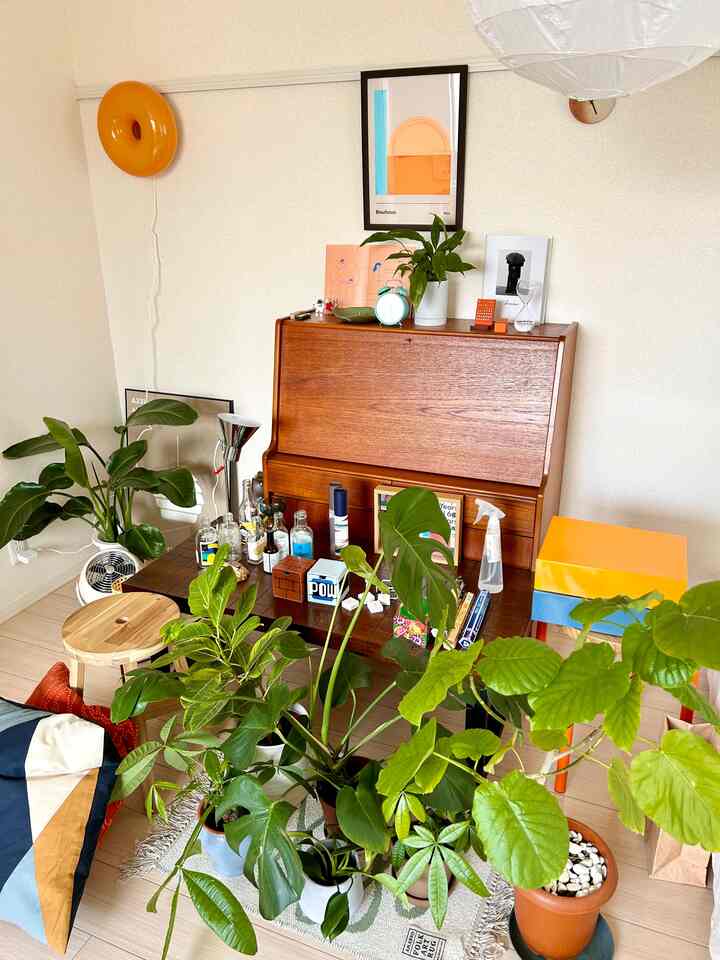 Natural color and light brown toned living room featuring mid-century modern furniture and abundant plants with a cozy atmosphere