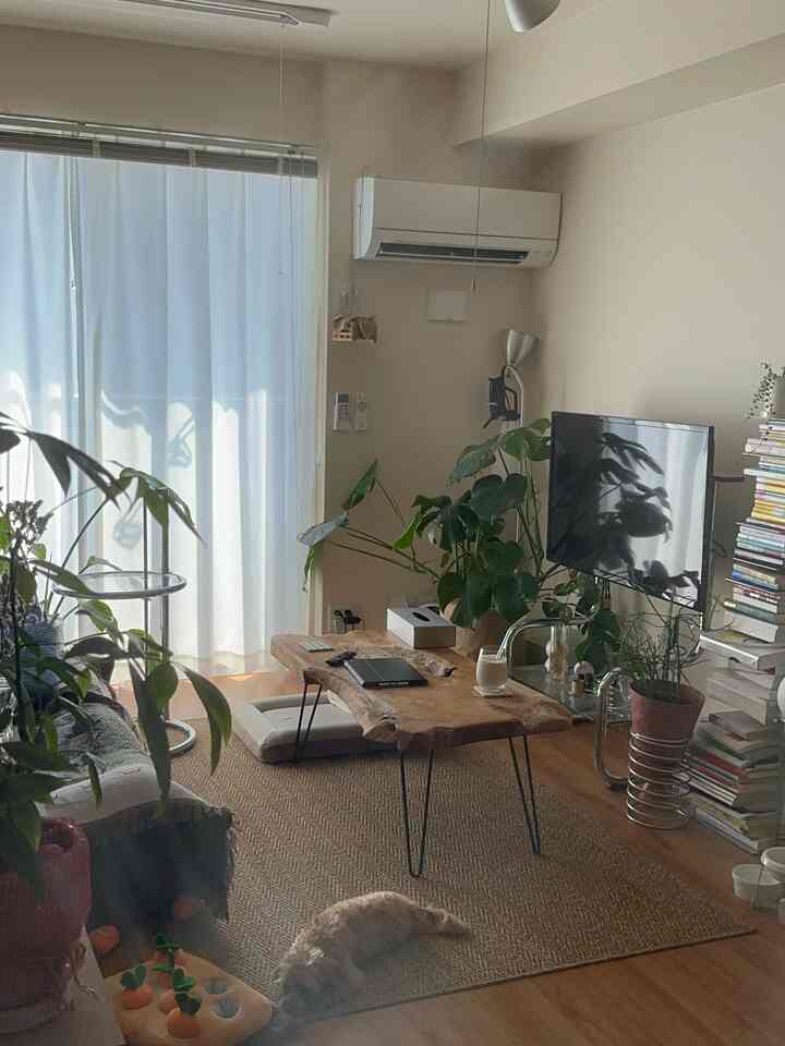 Beige natural-toned living room featuring a wooden table, rug, multiple plants, and a resting dog creating a cozy atmosphere