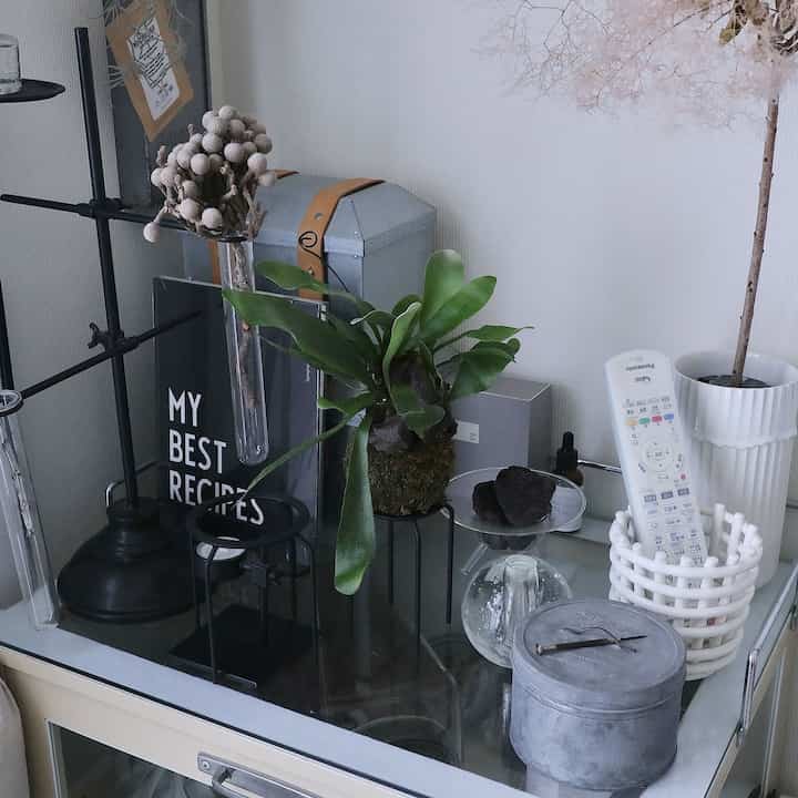 ついにお迎えしてしまったコウモリラン
枯れませんように…

#casica
#casicatokyo
#コウモリラン
#ヒガクシダ
#グリーンのある暮らし 
#グリーンのある生活 
#グリーンのあるインテリア 
#リビングインテリア
#日々の暮らし
#暮らしを楽しむ 
#暮らしの記録 
#すきなものに囲まれて暮らしたい 
#好きなものに囲まれた暮らし 
#ミックスインテリア
#アンティークのある暮らし
#古いものがある暮らし 
#古道具のある暮らし 
#海外インテリアに憧れる
#インテリア好き 
#暮らしの道具 
#モノトーン雑貨
#マンション暮らし 
#マンションインテリア
#eosm100