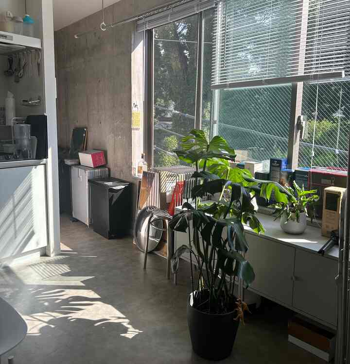 グレーのコンクリート壁と大きな鉢植えが置かれた自然光あふれるキッチンスペース