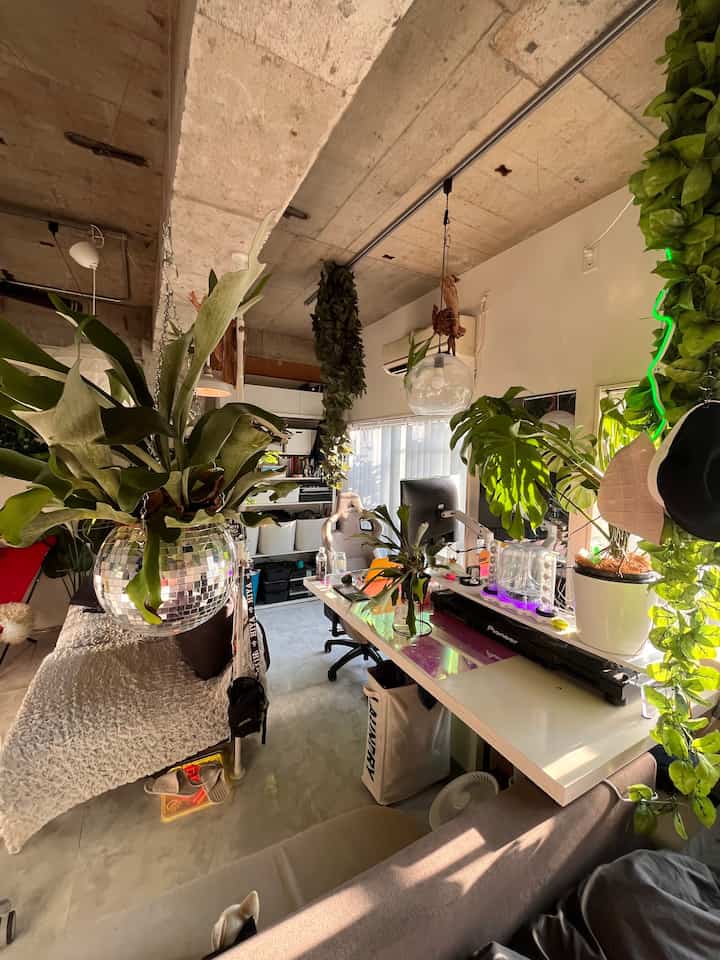 白い壁とナチュラルな緑の植物が調和するリビング兼ホームオフィス、ペンダントライトとソファが配置されたインダストリアルスタイルの空間