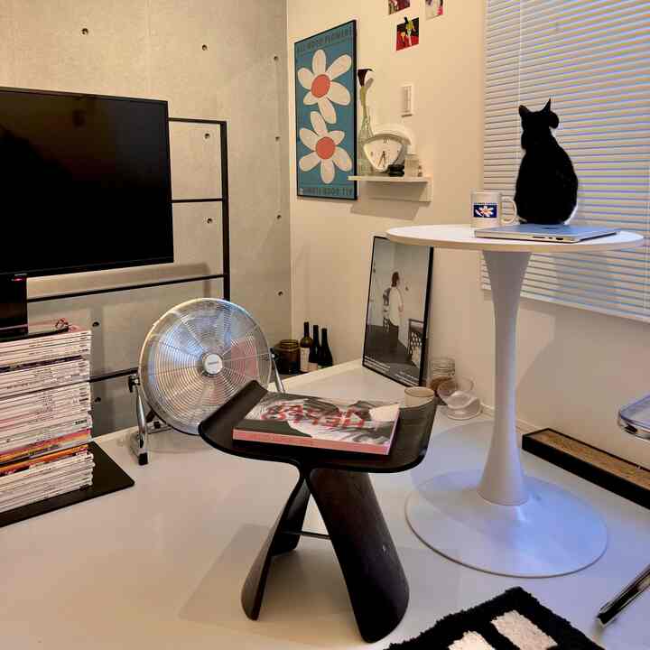 White and gray toned small single household room featuring a metallic silver circulator fan and a black cat, modern interior
