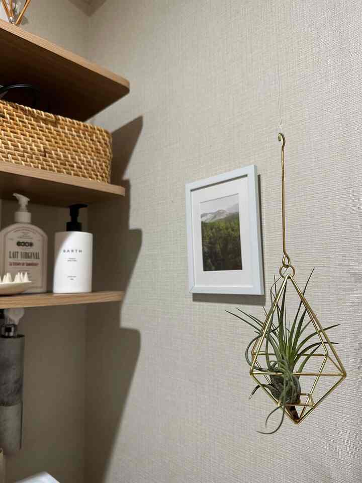 窓の無い脱衣所に貴重なグリーン🌿
雑貨屋さんで買ったオブジェにテグス付けて
天井から吊るしました
浮いてる笑

#チランジア 
#エアープランツ
#脱衣所グリーン
