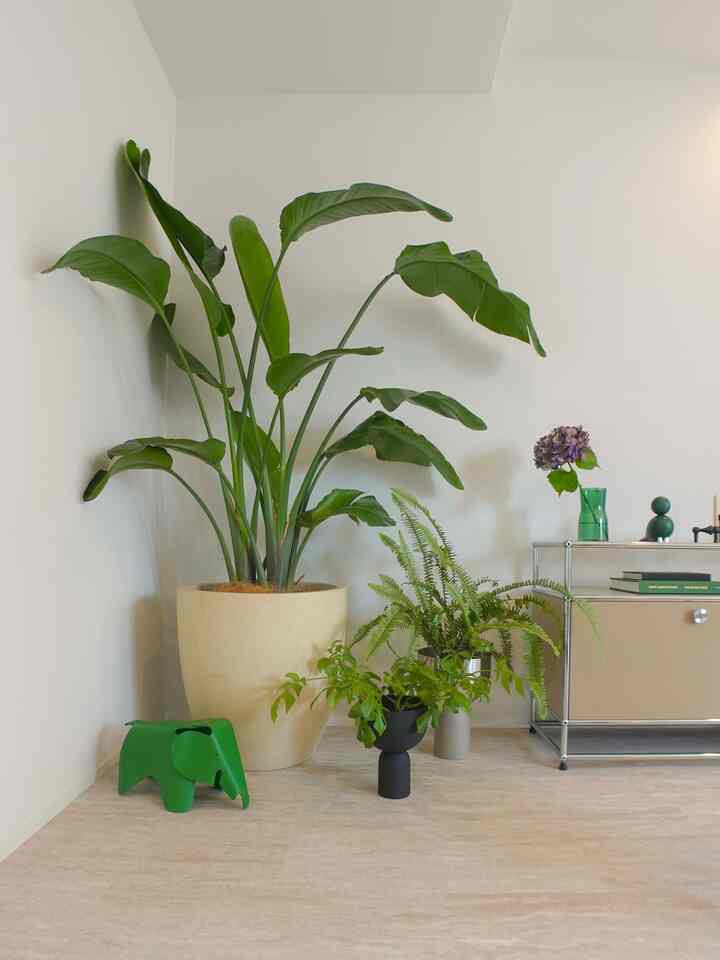 🐘🐘🐘

#usm #usmhaller #usmmodularfurniture #usmハラー #vitra #ヴィトラ #aytm #カイボイスン