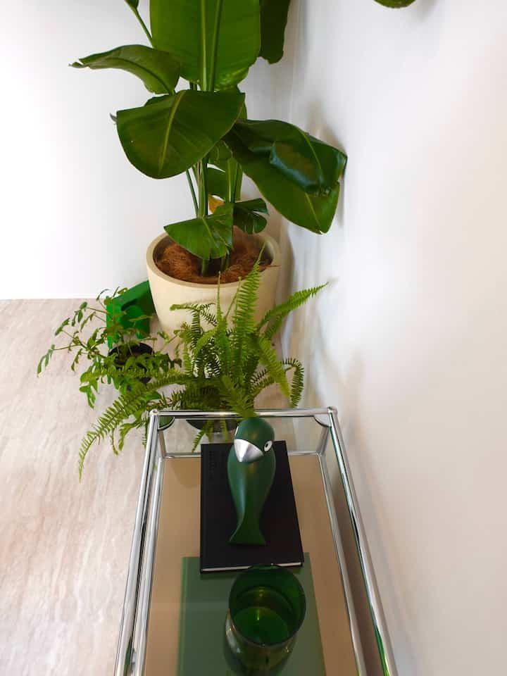 🦜🦜🦜

#vitra #ヴィトラ #usm #usmhaller #usmmodularfurniture #usmハラー 
#カイボイスン #aytm #ikea #イケア