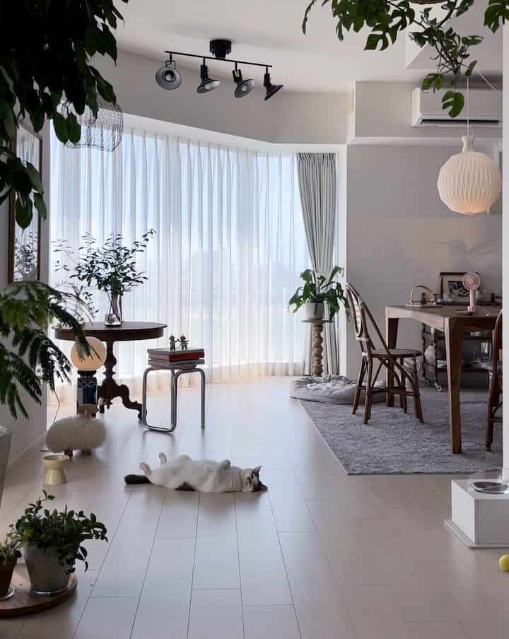 Bright white-toned dining and living room featuring brown wooden furniture and a cat lying on the floor, creating a cozy atmosphere