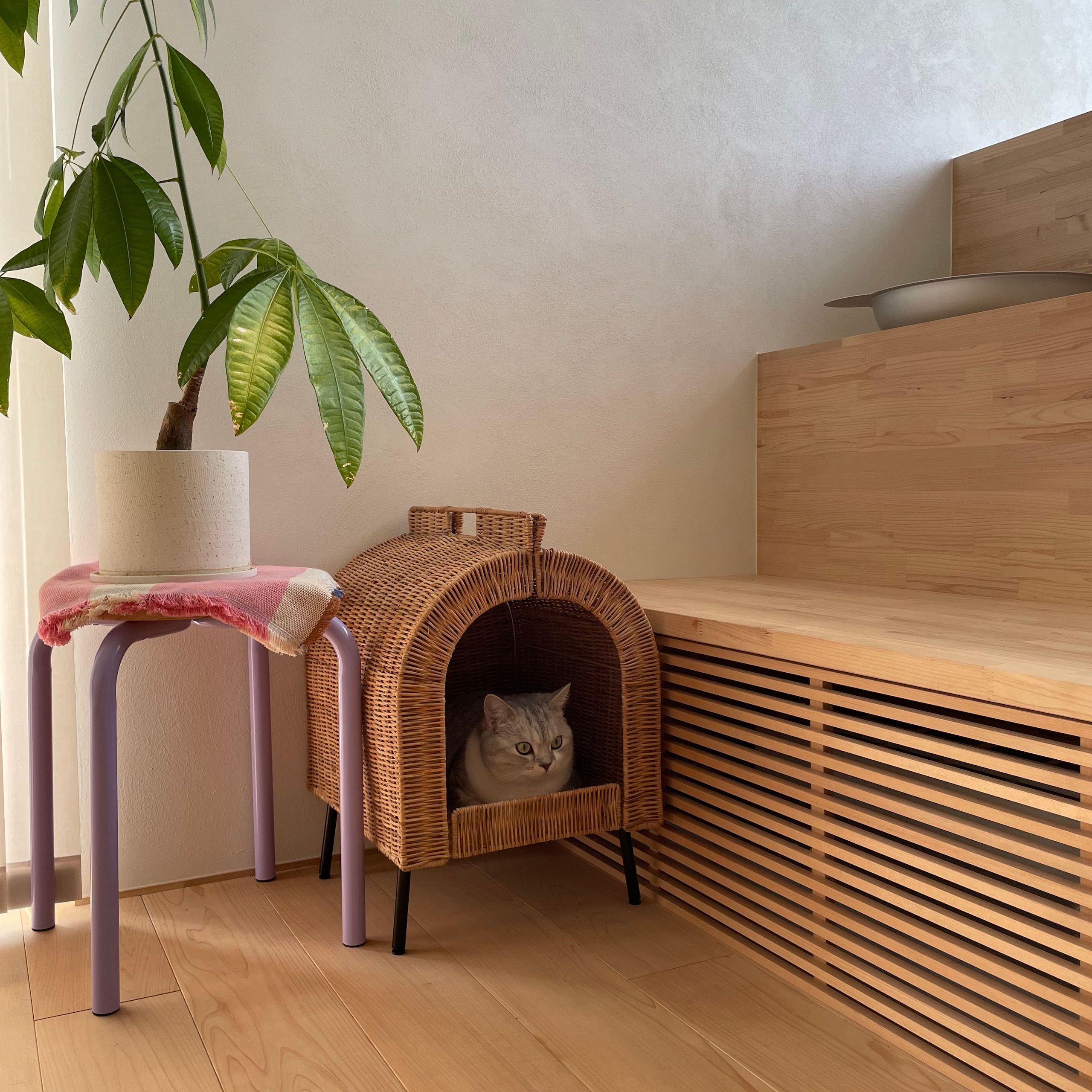 新品未開封×2個】IKEA DOMSTEN ドムステン スツール 専用】IKEA
