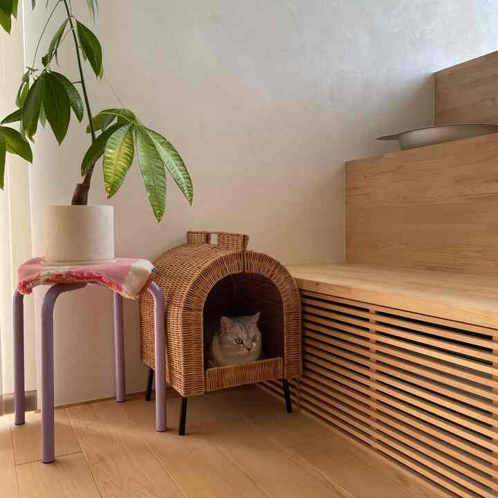 ナチュラルウッドトーンのリビング、IKEAのラタンキャットハウスと猫が配置された雰囲気のある空間