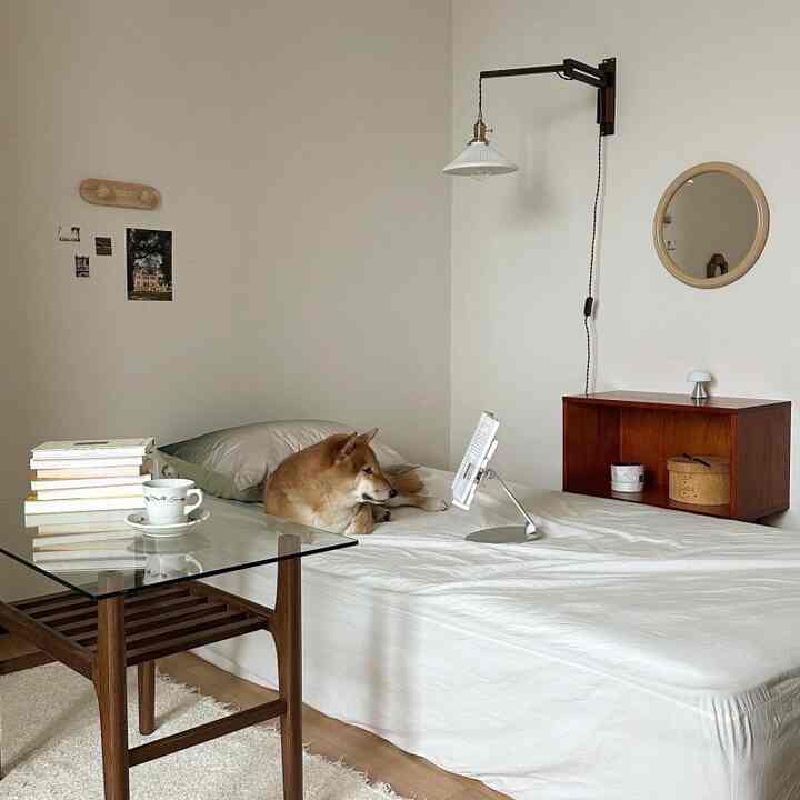 A simple bedroom with white and wood tones featuring a dog resting on the bed, creating a cozy atmosphere