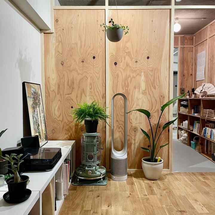 尾崎フラワーパーク（天国）にて新しい仲間をGETしました🌱
#リノベーション #マンションリノベーション
#howwelive #mylvngrm #roomdecor
#apartmenttherapy #apartmentinterior
#interiordesign #interiordecor #interiorinspo
#構造用合板
#フィッシュボーンカクタス
#アデニウム
#ネフロレピスツデー