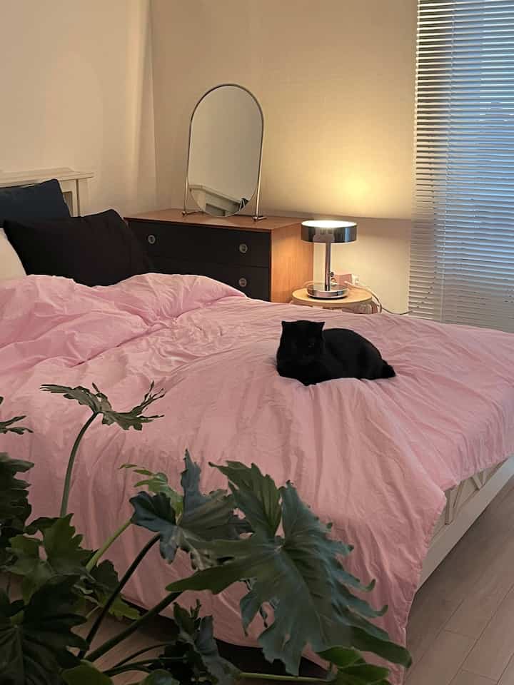ピンクの寝具と黒い猫がいる落ち着いた寝室のインテリア