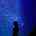 Satori_room