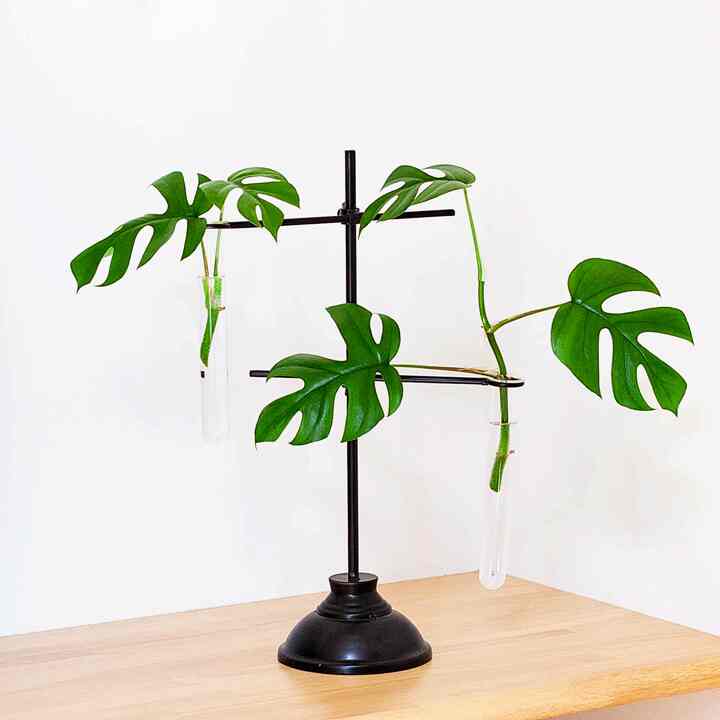 「試験管立て」風 モダンスタンド 花瓶