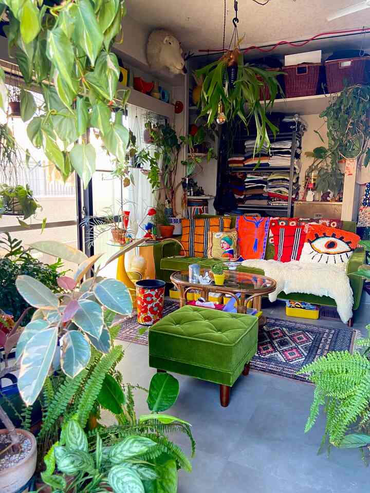 グリーンの配置を変えたり、ソファの背に掛けるファブリックを変えたり。
大きな変化はないけど、日々のマイナーチェンジを楽しみながら過ごす7月です◎
#ミッドセンチュリー #昭和レトロ #ヴィンテージ
#観葉植物 #グリーンインテリア #多国籍インテリア
#カリモク60 #ロビーチェア #リビングインテリア