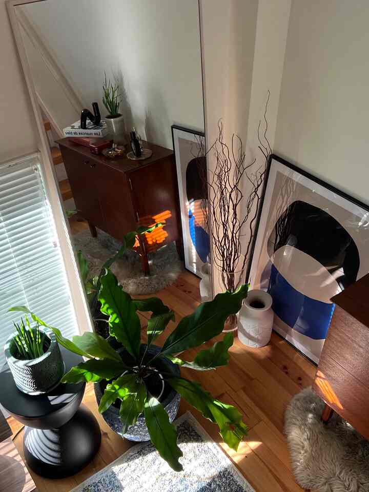 Natural-tone living room with natural light featuring large planters, wood tone furniture, posters, and a mirror creating a cozy atmosphere