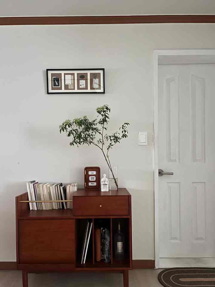 ナチュラルモダンな雰囲気の廊下、木目調のキャビネットと植物、額縁が配置された印象的な空間