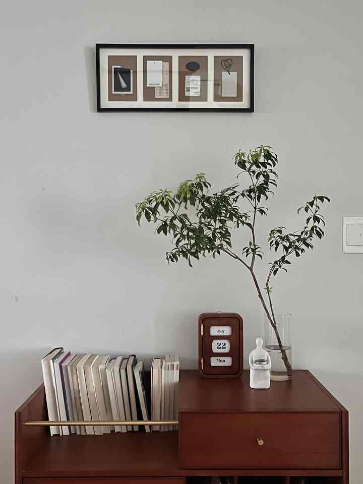 ナチュラルな木目調家具と緑の植物が配置されたシンプルな廊下のインテリア