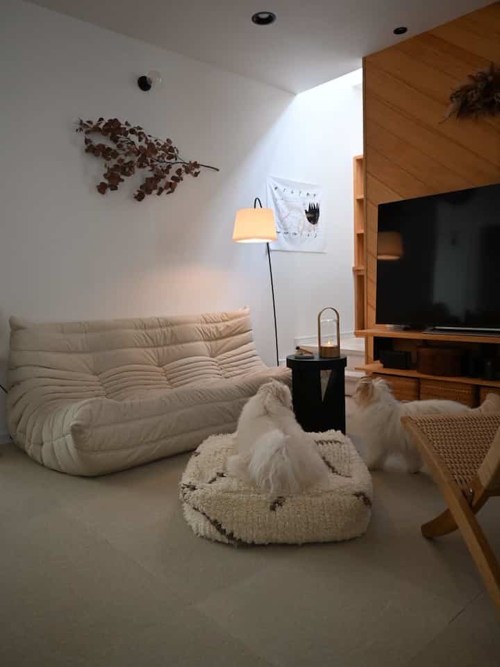 ベージュを基調としたナチュラルカラーのリビング、ソファとフロアランプ、木目調の壁面に小型犬が2匹いる雰囲気のある空間