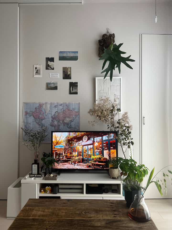 Natural-toned living room featuring wooden coffee table, TV stand, and various plants in a simple setup