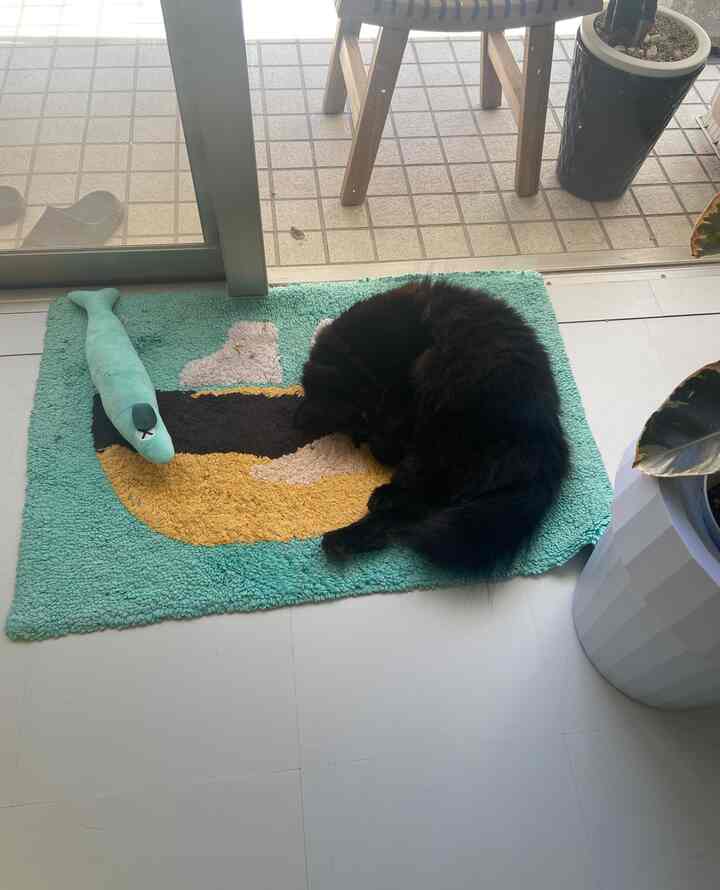 緑色のバスマットの上に黒い猫が丸くなって寝ており、小さなペット用おもちゃが置かれた、居心地の良いペットフレンドリーな空間