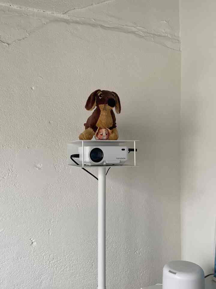 冷房のきいた部屋でゴロゴロ過ごす日はプロジェクターで映画を🎞️

#プロジェクター #IKEA #TOWER #ぬいぐるみ