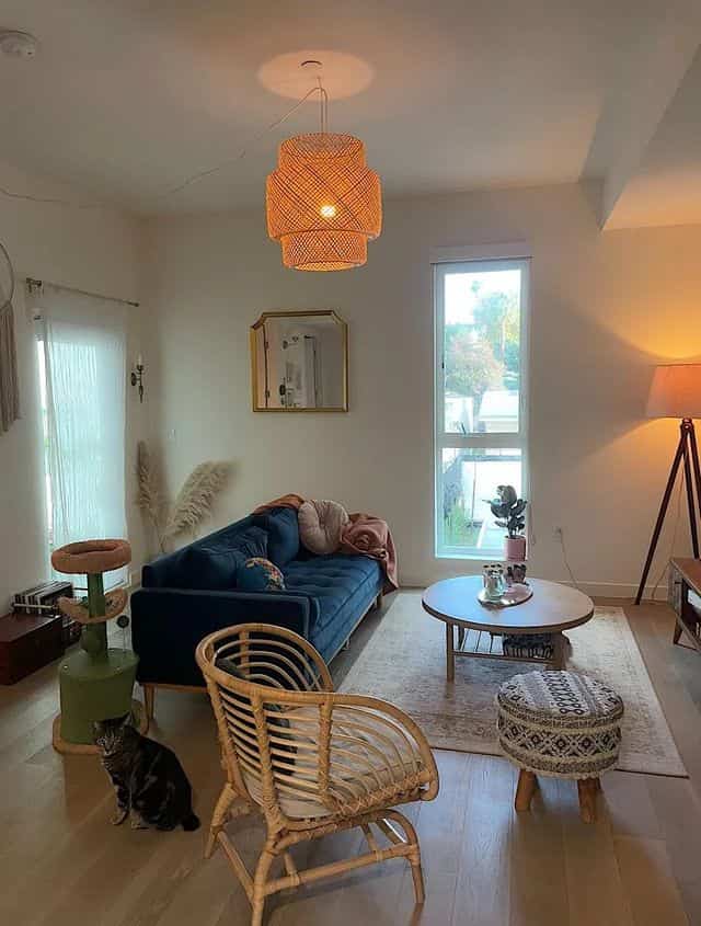 Natural wood-tone living room featuring blue sofa and rattan armchair with a cat creating a cozy atmosphere