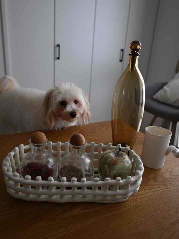 Natural-toned kitchen table with a dog and assorted objet d'art arranged, creating a cozy atmosphere