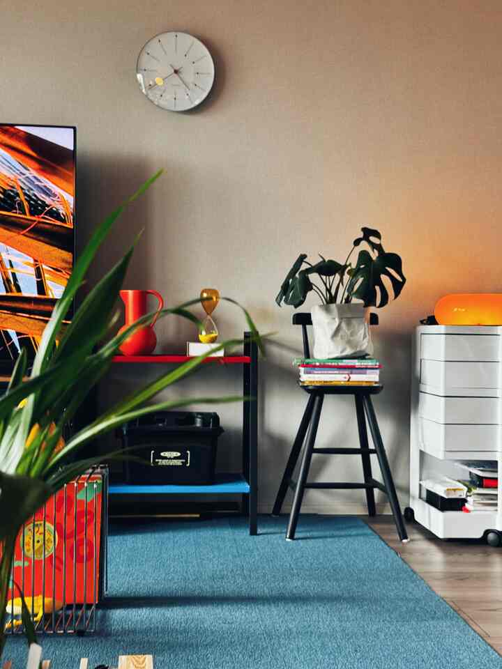 A cozy living room with a blue rug, black shelving unit, and plants arranged in a warm atmosphere