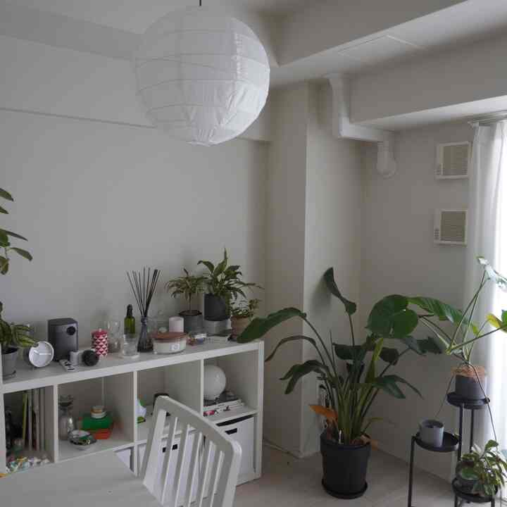 ほぼIKEAなリビング
#IKEA
#白インテリア
#観葉植物