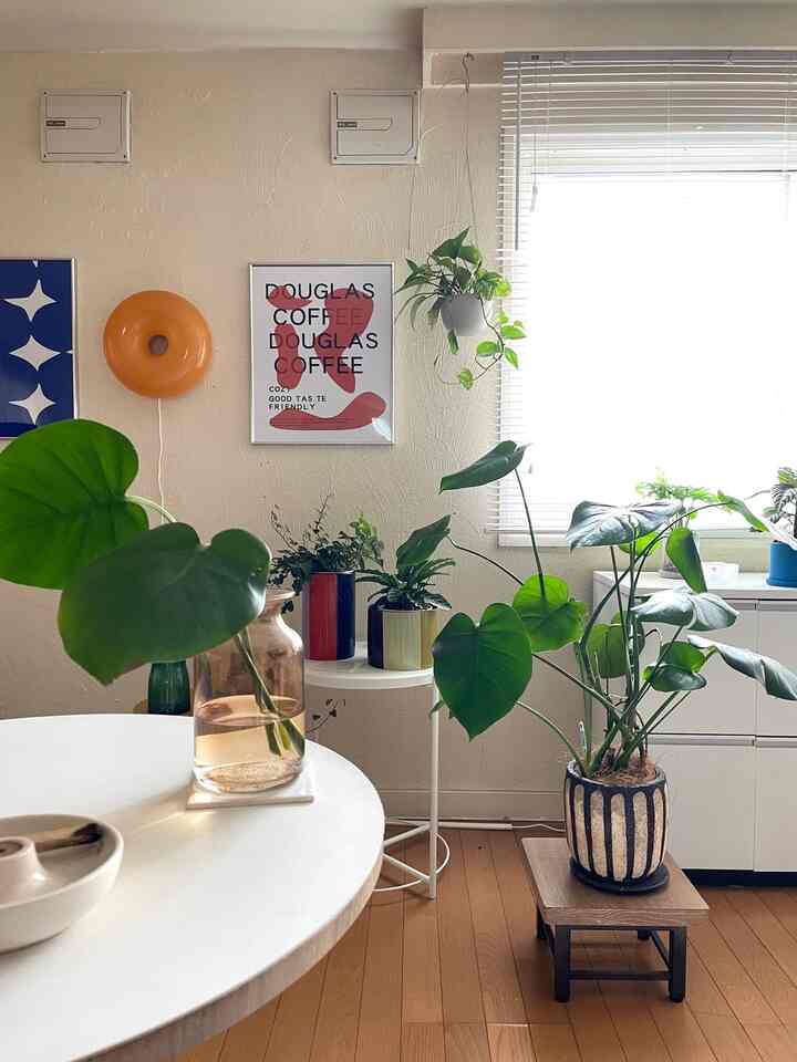 I cut the monstera that was growing out of control and made it into a flower vase. I'm happy that the plants🪴 are growing well at this time of year☺️

Last winter was so cold that it died, so I need to think about how to protect it from the cold this year...

#interior #インテリア植物 #観葉植物 #植物 #植物インテリア #グリーンインテリア #ラウンドテーブル #ポスター #カラフルなインテリア #北欧インテリア #シンプルな暮らし #イケア #IKEA #IKEA照明 #KINTO #モンステラ