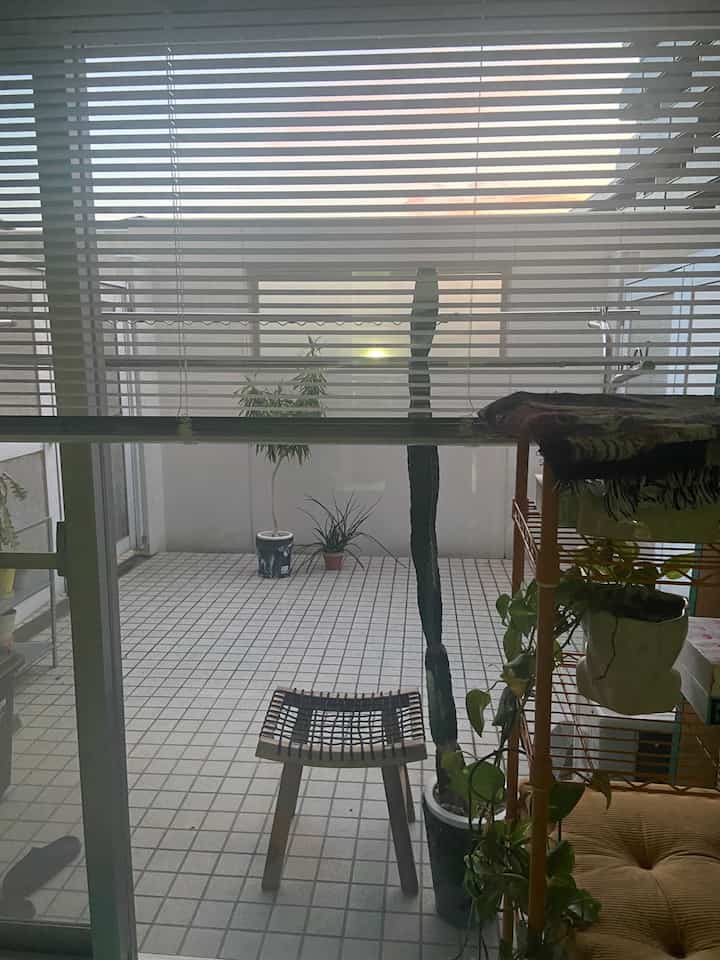 #バルコニー #IKEA #ブラインド 