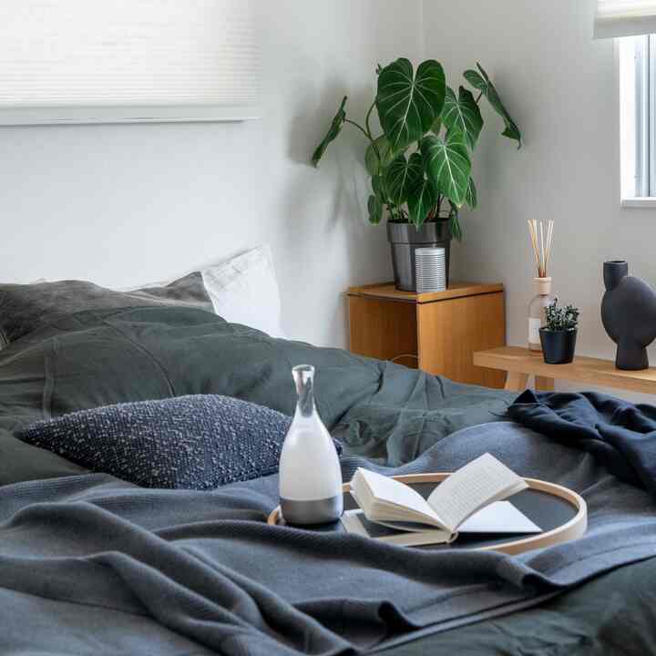 Charcoal and black toned bedroom featuring natural wood storage furniture and green plant creating a cozy atmosphere