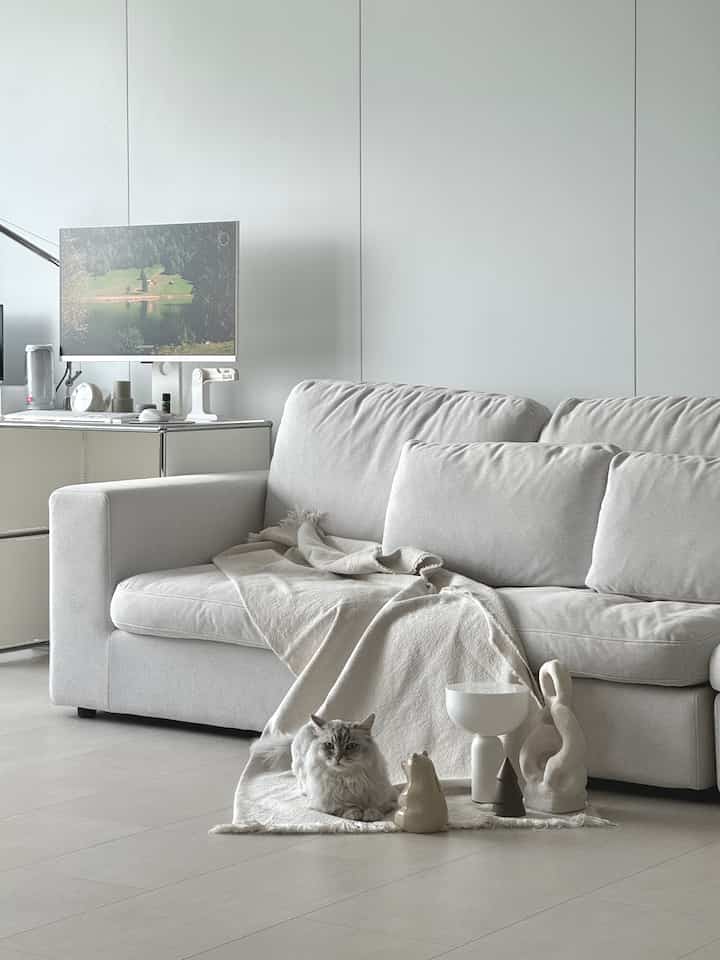 Ivory-toned living room featuring a fabric sofa, throw blanket, and a cat in a natural and simple setting