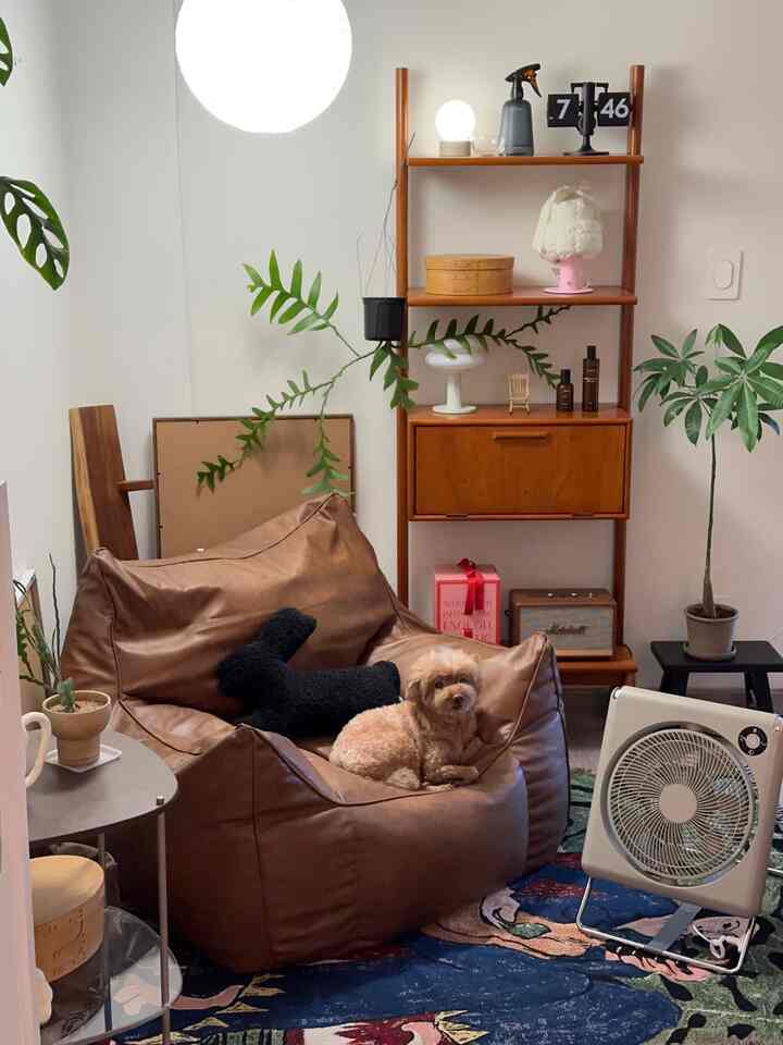 Natural modern living room with brown leather bean bag, colorful rug, wooden cabinet, and plants