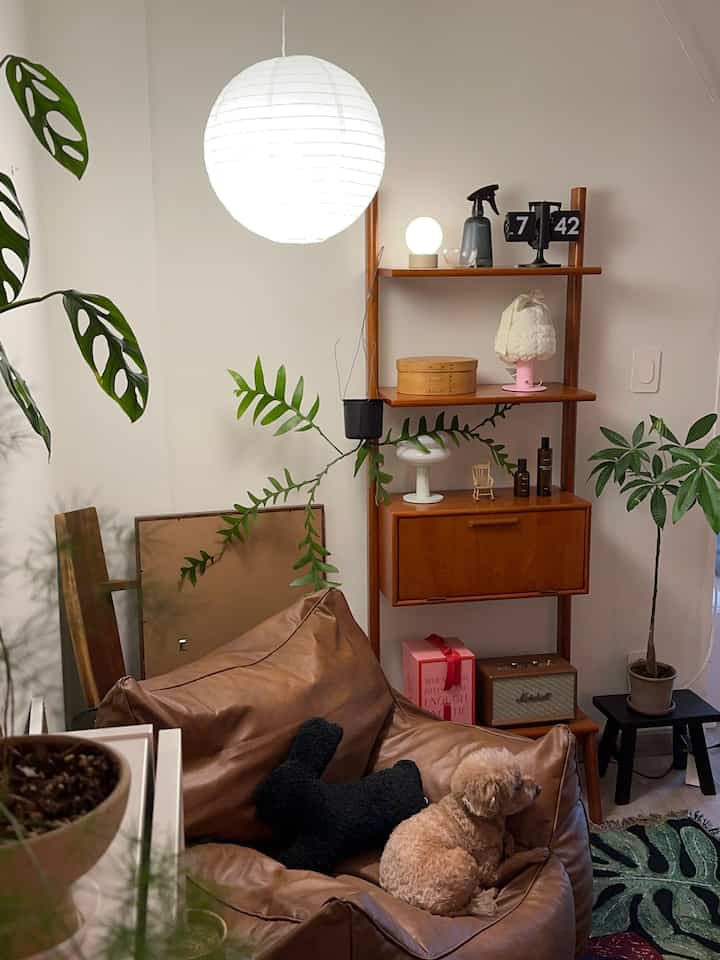 ブラウンと木目調が調和したリビング、ビーズクッションソファにペットの犬が座り、木製キャビネットと植物が配置された印象的な空間