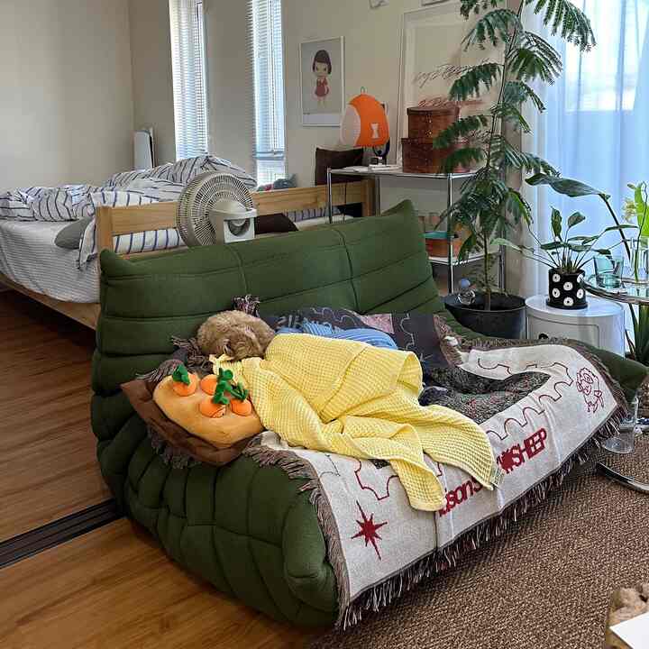 犬を探せ
高いところと狭いところが大好き

#トーゴソファ
#リビング 